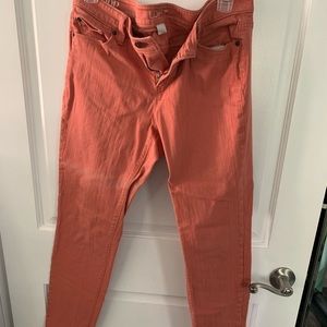 Loft pants